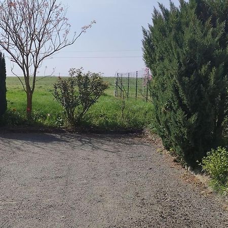 Gite La Metairie, Au Calme A La Campagne Villa Saint-Seurin-de-Palenne Eksteriør billede